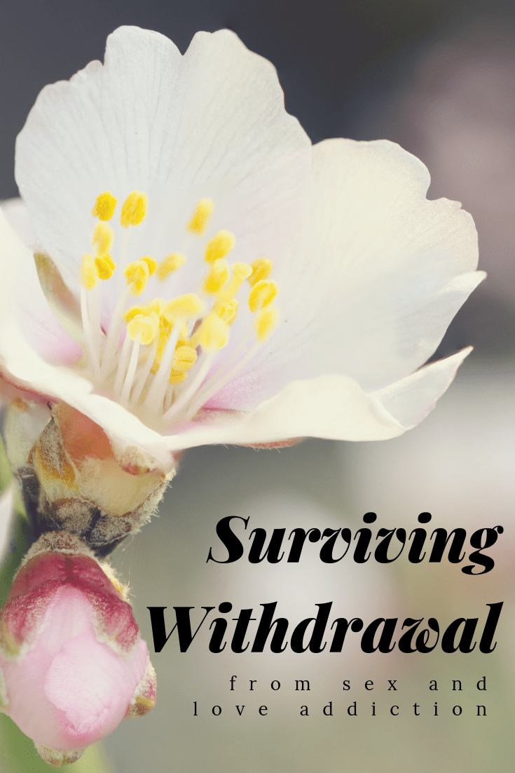 pinterest_surviving_withdrawal_from_sex_and_love_addiction_restored_hope_counseling_therapy_ann_arbor_novi_michigan_christian.png